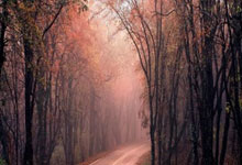 曼城客场惜败对手，净胜球小输